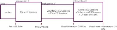 Beneficial Cardiac Structural and Functional Adaptations After Lumbosacral Spinal Cord Epidural Stimulation and Task-Specific Interventions: A Pilot Study